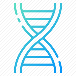 DNA
