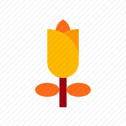 <em>玫瑰</em>