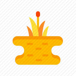 <em>沼泽</em>
