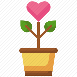 <em>盆栽植物</em>