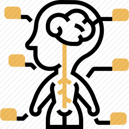 <em>神经系统</em>