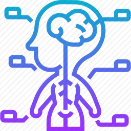 <em>神经系统</em>