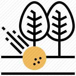 高尔夫球