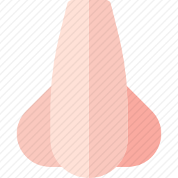 鼻子