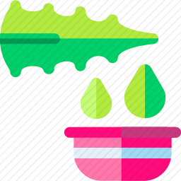 芦荟