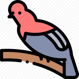 鸟