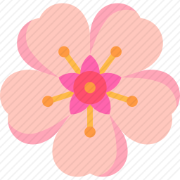 樱花