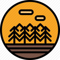 松树