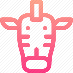 斑马