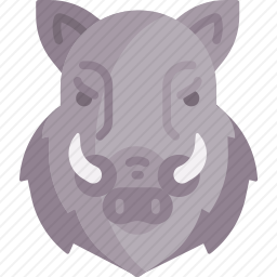 野生野猪
