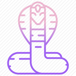 <em>眼镜蛇</em>