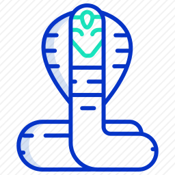 <em>眼镜蛇</em>