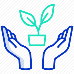 植物