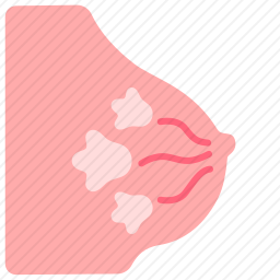 乳房