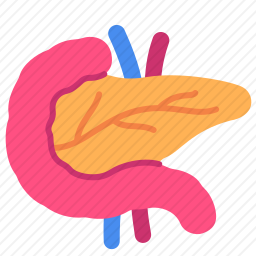 胰腺