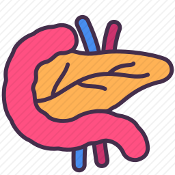 胰腺