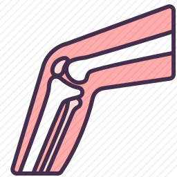 腿