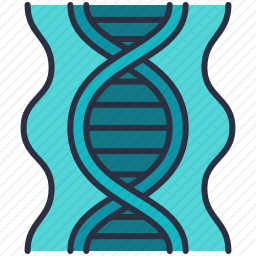 DNA