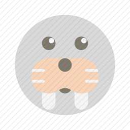 海象