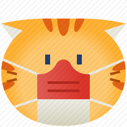 猫咪