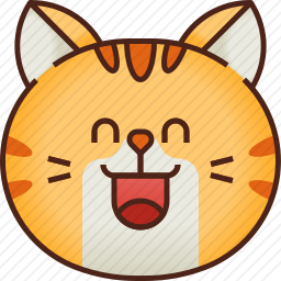 猫咪
