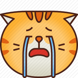 猫咪