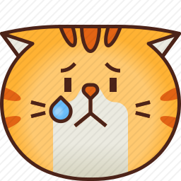 猫咪