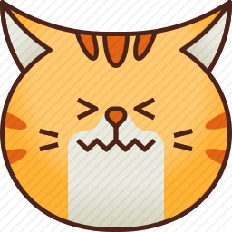 猫咪