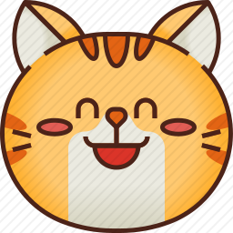 猫咪