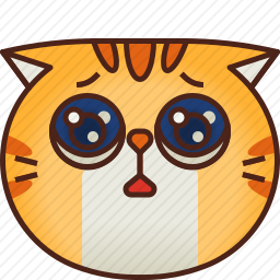 猫咪