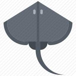 黄貂<em>鱼</em>