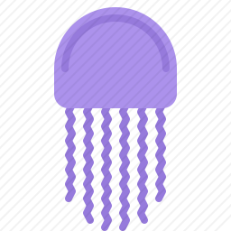 水母