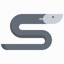 鳗鱼