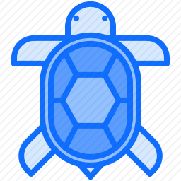<em>乌龟</em>
