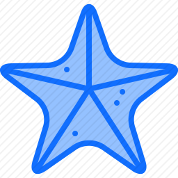 <em>海星</em>