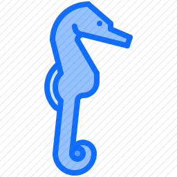海马