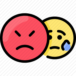 <em>愤怒</em>