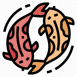 锦鲤