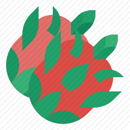 火龙果