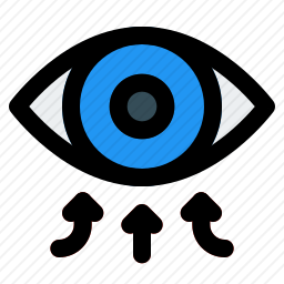 <em>眼睛</em>