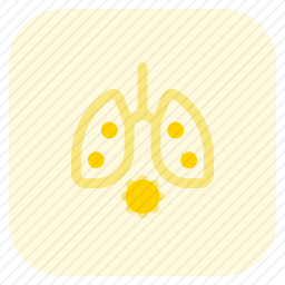肺