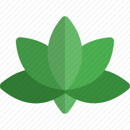 植物