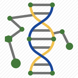 DNA