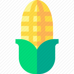 <em>玉米</em>