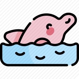 海豚