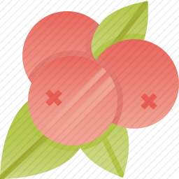 樱桃