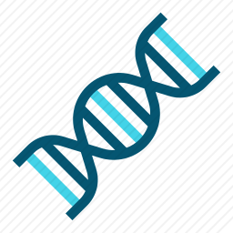 DNA