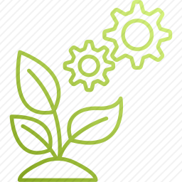 <em>植物</em><em>管理</em>