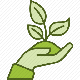 植物