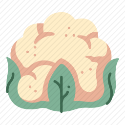菜花